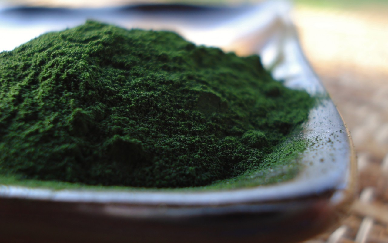 Chlorella sub forma de pudra