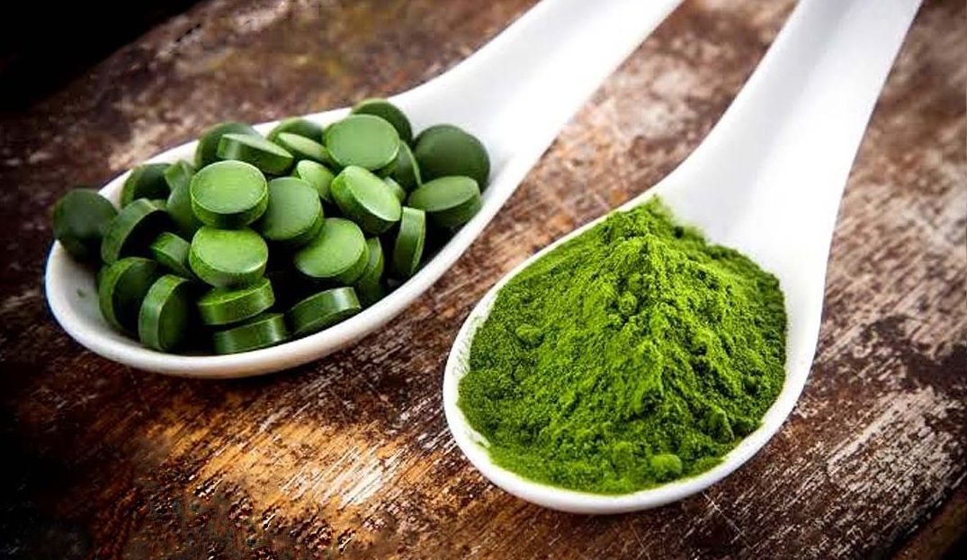 chlorella versus spirulina